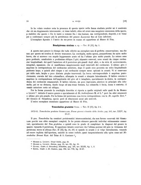 Palaeontographia Italica raccolta di monografie paleontologiche fondata da Mario Canavari nell'anno 1895