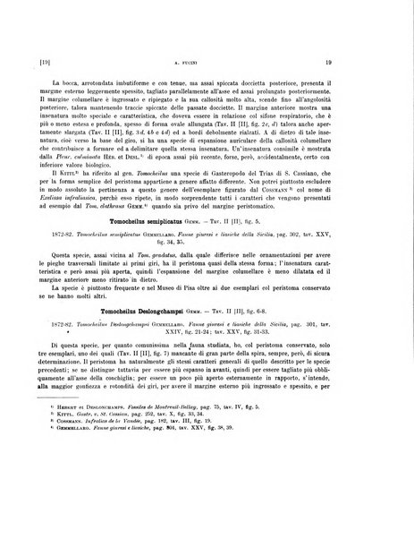 Palaeontographia Italica raccolta di monografie paleontologiche fondata da Mario Canavari nell'anno 1895