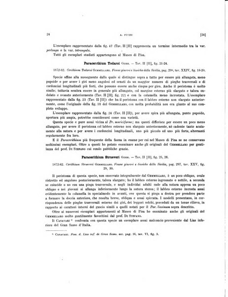 Palaeontographia Italica raccolta di monografie paleontologiche fondata da Mario Canavari nell'anno 1895