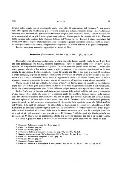 Palaeontographia Italica raccolta di monografie paleontologiche fondata da Mario Canavari nell'anno 1895