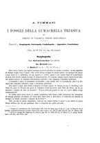 giornale/VEA0025754/1913/unico/00000041