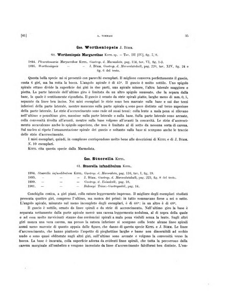 Palaeontographia Italica raccolta di monografie paleontologiche fondata da Mario Canavari nell'anno 1895