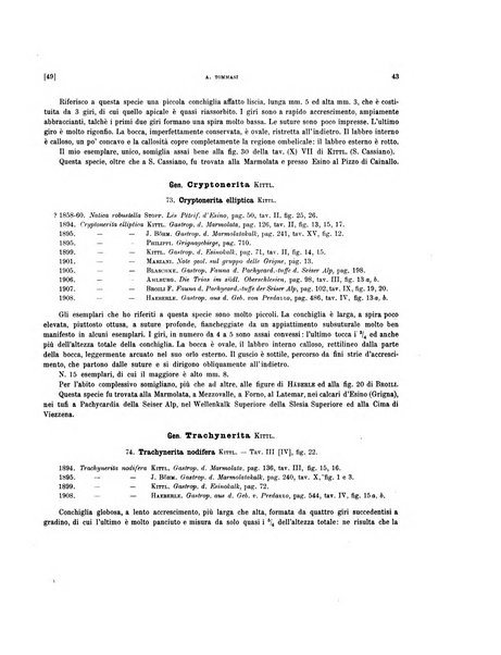 Palaeontographia Italica raccolta di monografie paleontologiche fondata da Mario Canavari nell'anno 1895