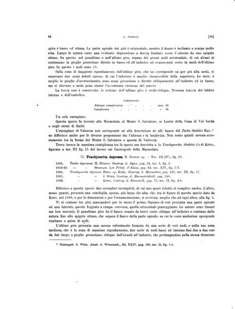 Palaeontographia Italica raccolta di monografie paleontologiche fondata da Mario Canavari nell'anno 1895