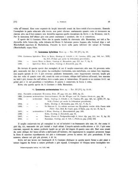 Palaeontographia Italica raccolta di monografie paleontologiche fondata da Mario Canavari nell'anno 1895