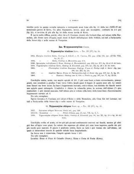 Palaeontographia Italica raccolta di monografie paleontologiche fondata da Mario Canavari nell'anno 1895