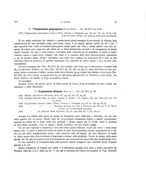 Palaeontographia Italica raccolta di monografie paleontologiche fondata da Mario Canavari nell'anno 1895