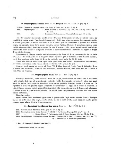 Palaeontographia Italica raccolta di monografie paleontologiche fondata da Mario Canavari nell'anno 1895