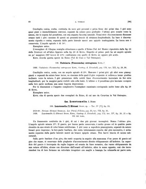 Palaeontographia Italica raccolta di monografie paleontologiche fondata da Mario Canavari nell'anno 1895