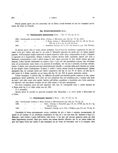 Palaeontographia Italica raccolta di monografie paleontologiche fondata da Mario Canavari nell'anno 1895