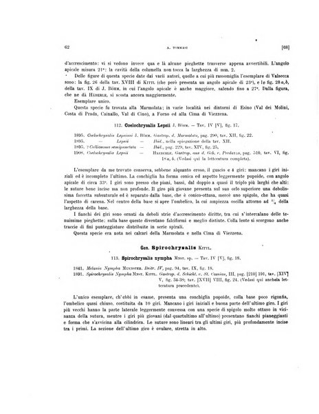 Palaeontographia Italica raccolta di monografie paleontologiche fondata da Mario Canavari nell'anno 1895