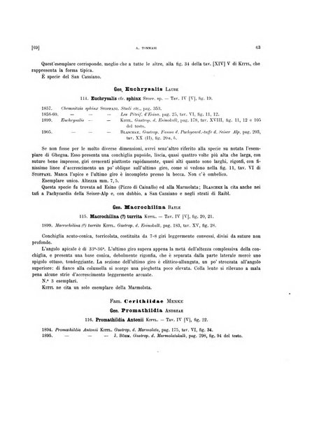 Palaeontographia Italica raccolta di monografie paleontologiche fondata da Mario Canavari nell'anno 1895