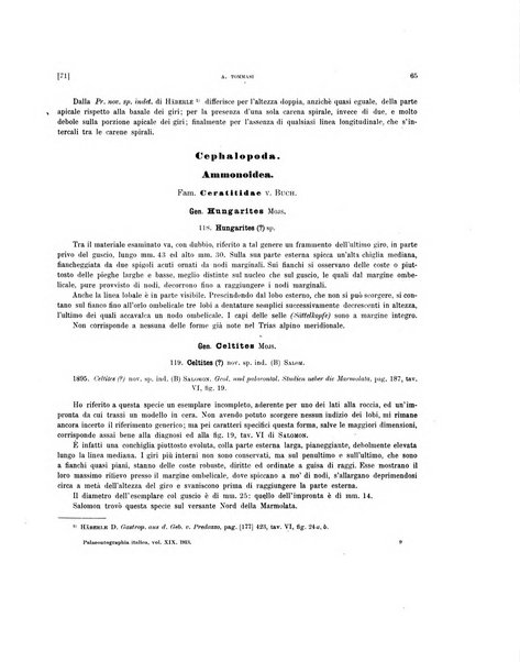 Palaeontographia Italica raccolta di monografie paleontologiche fondata da Mario Canavari nell'anno 1895