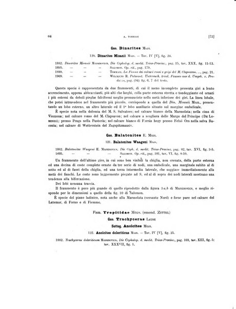 Palaeontographia Italica raccolta di monografie paleontologiche fondata da Mario Canavari nell'anno 1895