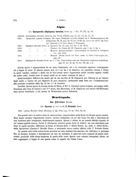 Palaeontographia Italica raccolta di monografie paleontologiche fondata da Mario Canavari nell'anno 1895