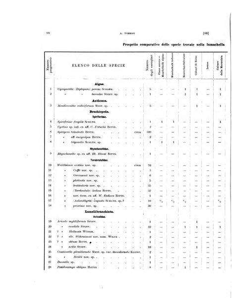 Palaeontographia Italica raccolta di monografie paleontologiche fondata da Mario Canavari nell'anno 1895