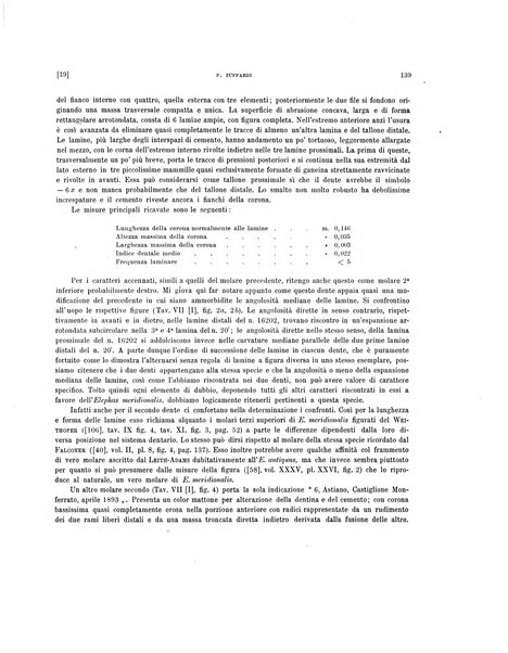 Palaeontographia Italica raccolta di monografie paleontologiche fondata da Mario Canavari nell'anno 1895