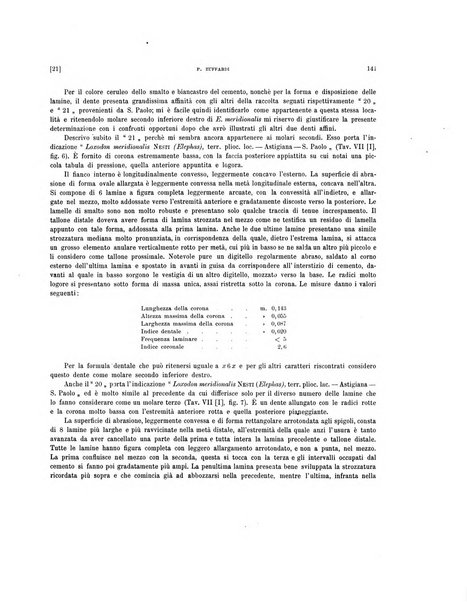 Palaeontographia Italica raccolta di monografie paleontologiche fondata da Mario Canavari nell'anno 1895