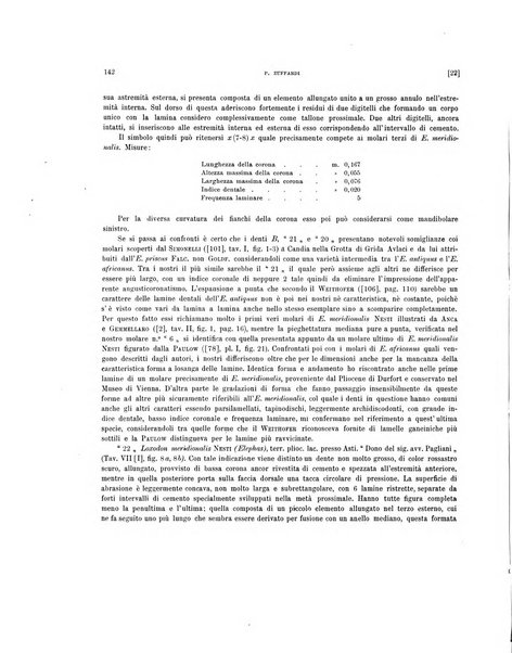 Palaeontographia Italica raccolta di monografie paleontologiche fondata da Mario Canavari nell'anno 1895