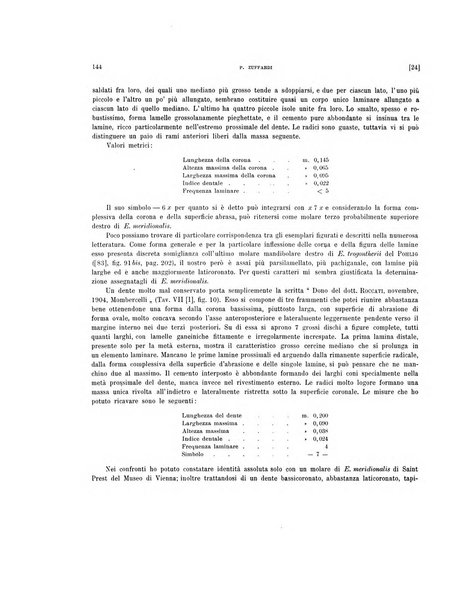 Palaeontographia Italica raccolta di monografie paleontologiche fondata da Mario Canavari nell'anno 1895