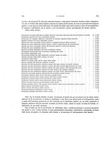 Palaeontographia Italica raccolta di monografie paleontologiche fondata da Mario Canavari nell'anno 1895