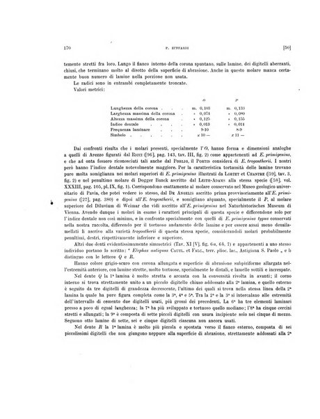 Palaeontographia Italica raccolta di monografie paleontologiche fondata da Mario Canavari nell'anno 1895