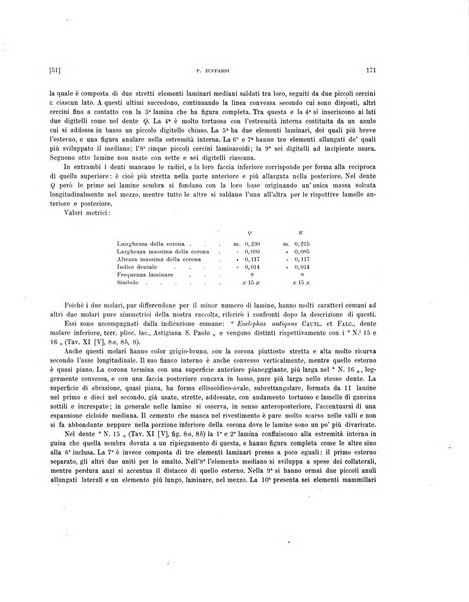 Palaeontographia Italica raccolta di monografie paleontologiche fondata da Mario Canavari nell'anno 1895