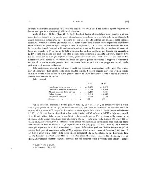 Palaeontographia Italica raccolta di monografie paleontologiche fondata da Mario Canavari nell'anno 1895