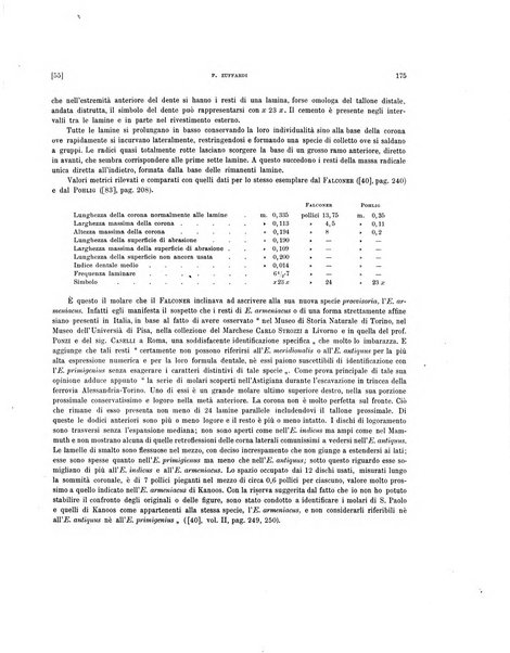 Palaeontographia Italica raccolta di monografie paleontologiche fondata da Mario Canavari nell'anno 1895