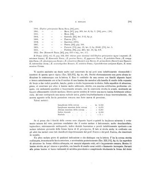 Palaeontographia Italica raccolta di monografie paleontologiche fondata da Mario Canavari nell'anno 1895