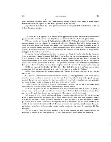 Palaeontographia Italica raccolta di monografie paleontologiche fondata da Mario Canavari nell'anno 1895