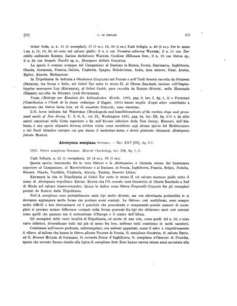 Palaeontographia Italica raccolta di monografie paleontologiche fondata da Mario Canavari nell'anno 1895