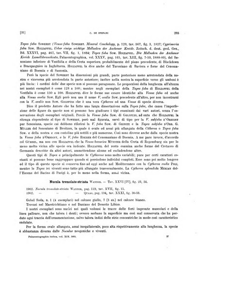 Palaeontographia Italica raccolta di monografie paleontologiche fondata da Mario Canavari nell'anno 1895