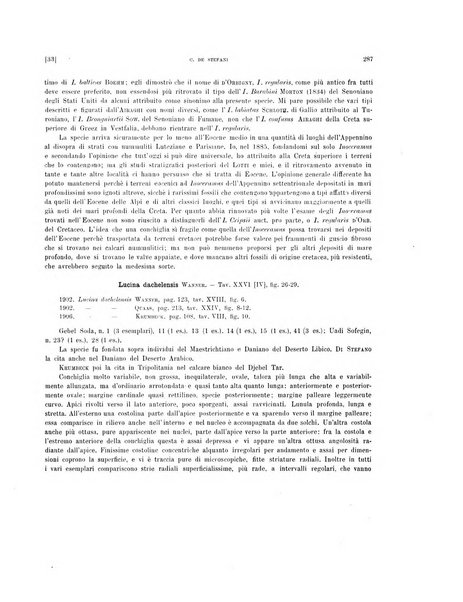 Palaeontographia Italica raccolta di monografie paleontologiche fondata da Mario Canavari nell'anno 1895