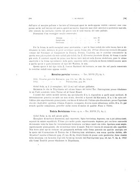 Palaeontographia Italica raccolta di monografie paleontologiche fondata da Mario Canavari nell'anno 1895