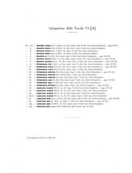 Palaeontographia Italica raccolta di monografie paleontologiche fondata da Mario Canavari nell'anno 1895