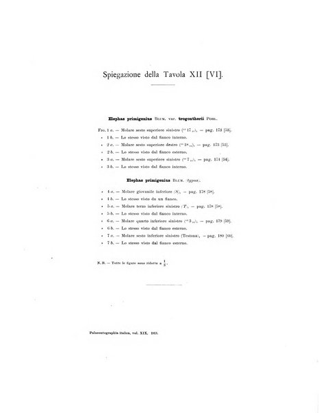 Palaeontographia Italica raccolta di monografie paleontologiche fondata da Mario Canavari nell'anno 1895