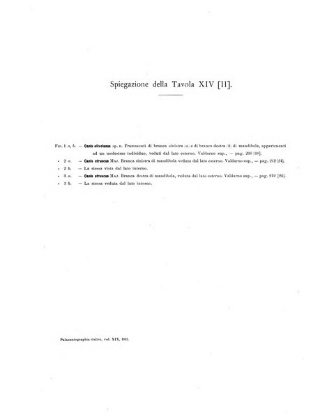 Palaeontographia Italica raccolta di monografie paleontologiche fondata da Mario Canavari nell'anno 1895