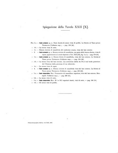 Palaeontographia Italica raccolta di monografie paleontologiche fondata da Mario Canavari nell'anno 1895