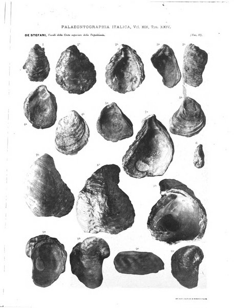 Palaeontographia Italica raccolta di monografie paleontologiche fondata da Mario Canavari nell'anno 1895