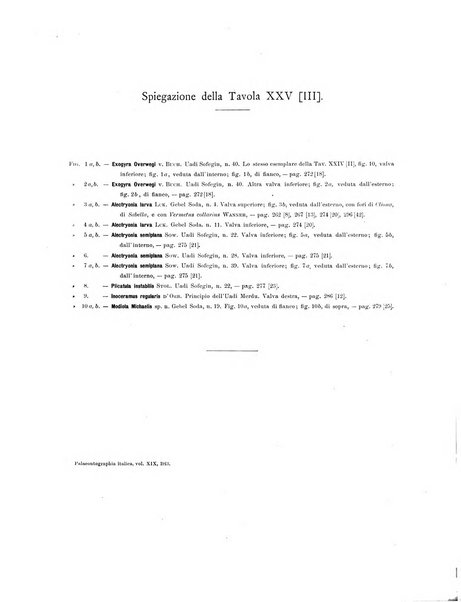 Palaeontographia Italica raccolta di monografie paleontologiche fondata da Mario Canavari nell'anno 1895