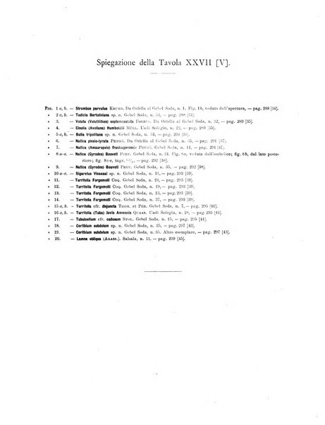 Palaeontographia Italica raccolta di monografie paleontologiche fondata da Mario Canavari nell'anno 1895