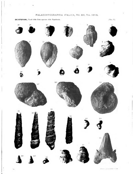 Palaeontographia Italica raccolta di monografie paleontologiche fondata da Mario Canavari nell'anno 1895