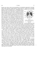 giornale/VEA0025754/1914/unico/00000067