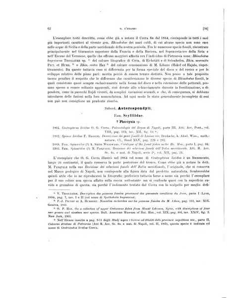 Palaeontographia Italica raccolta di monografie paleontologiche fondata da Mario Canavari nell'anno 1895