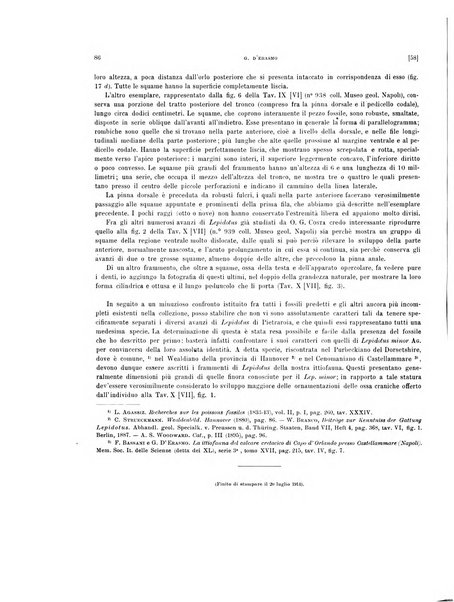 Palaeontographia Italica raccolta di monografie paleontologiche fondata da Mario Canavari nell'anno 1895