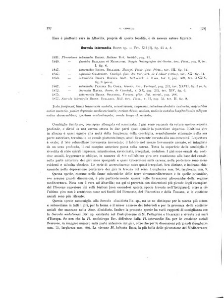 Palaeontographia Italica raccolta di monografie paleontologiche fondata da Mario Canavari nell'anno 1895