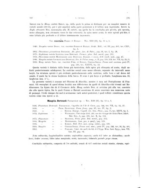 Palaeontographia Italica raccolta di monografie paleontologiche fondata da Mario Canavari nell'anno 1895