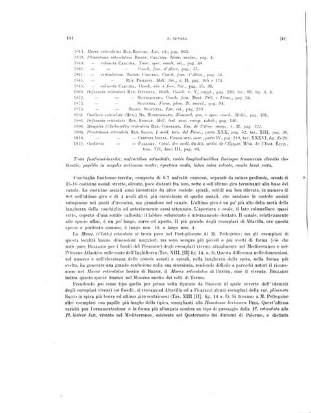 Palaeontographia Italica raccolta di monografie paleontologiche fondata da Mario Canavari nell'anno 1895