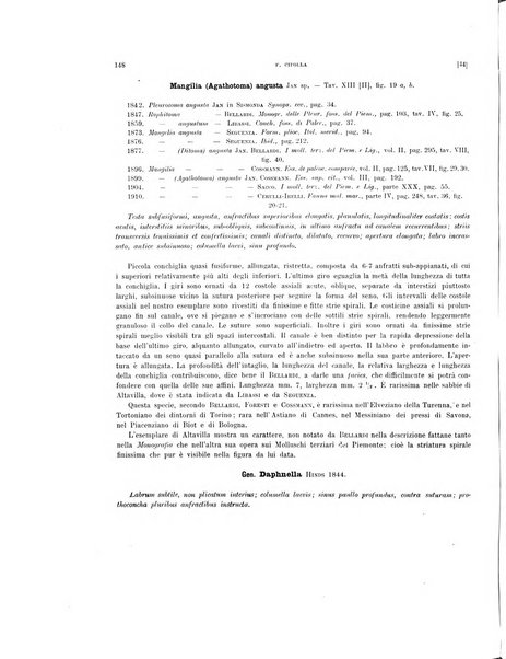 Palaeontographia Italica raccolta di monografie paleontologiche fondata da Mario Canavari nell'anno 1895